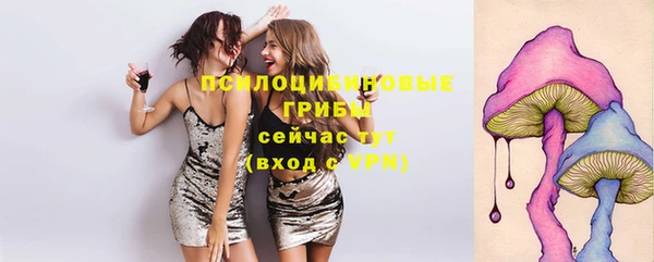 твердый Переславль-Залесский
