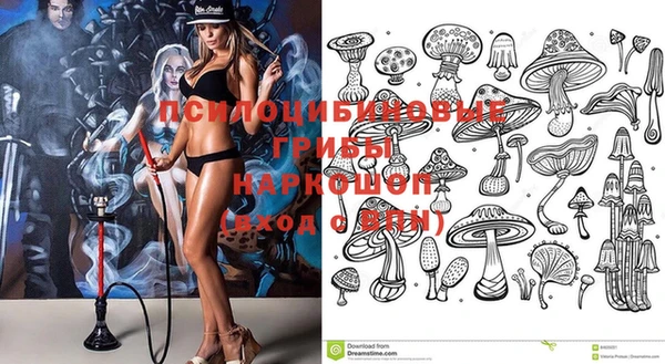 Альфа ПВП Осташков