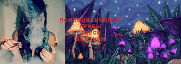 твердый Переславль-Залесский