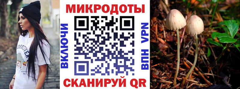 Галлюциногенные грибы Magic Shrooms  Боготол 